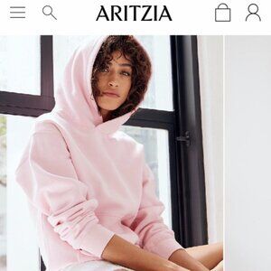 Aritzia The Perfect Hoodie in Rose Frost